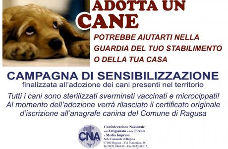 Adotta un Cane